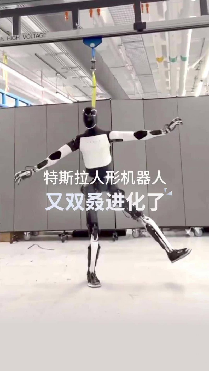 当巴西萌娃遇上中国醒狮，这波文化混搭太上头