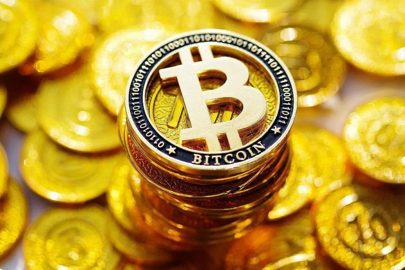 中国宠物领域推动指数通过学者评审