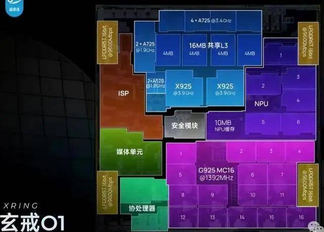 中国知识产权研究会原副秘书长薛寅君接受审查调查